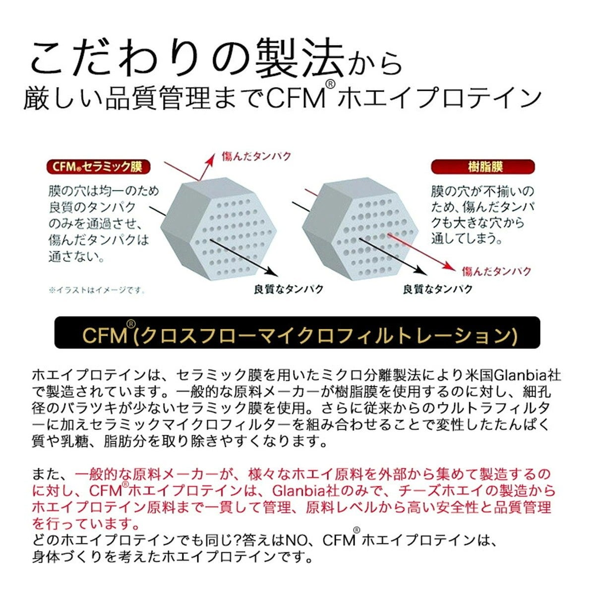 ゴールドジムGOLD'SGYMサプリメントダイエット健康プロテイン【送料無料】復刻発売数量限定CFMホエイプロテインカラメルプリン風味600gF3860