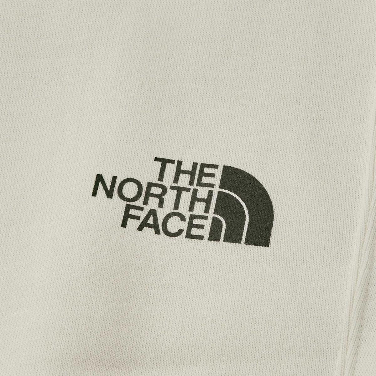 ザ・ノース・フェイスTHENORTHFACEスノボースノボスノーボードウェアボトムスロングパンツ長ズボンレイバックパンツNB82610-DDメンズレディースユニセックス26-27