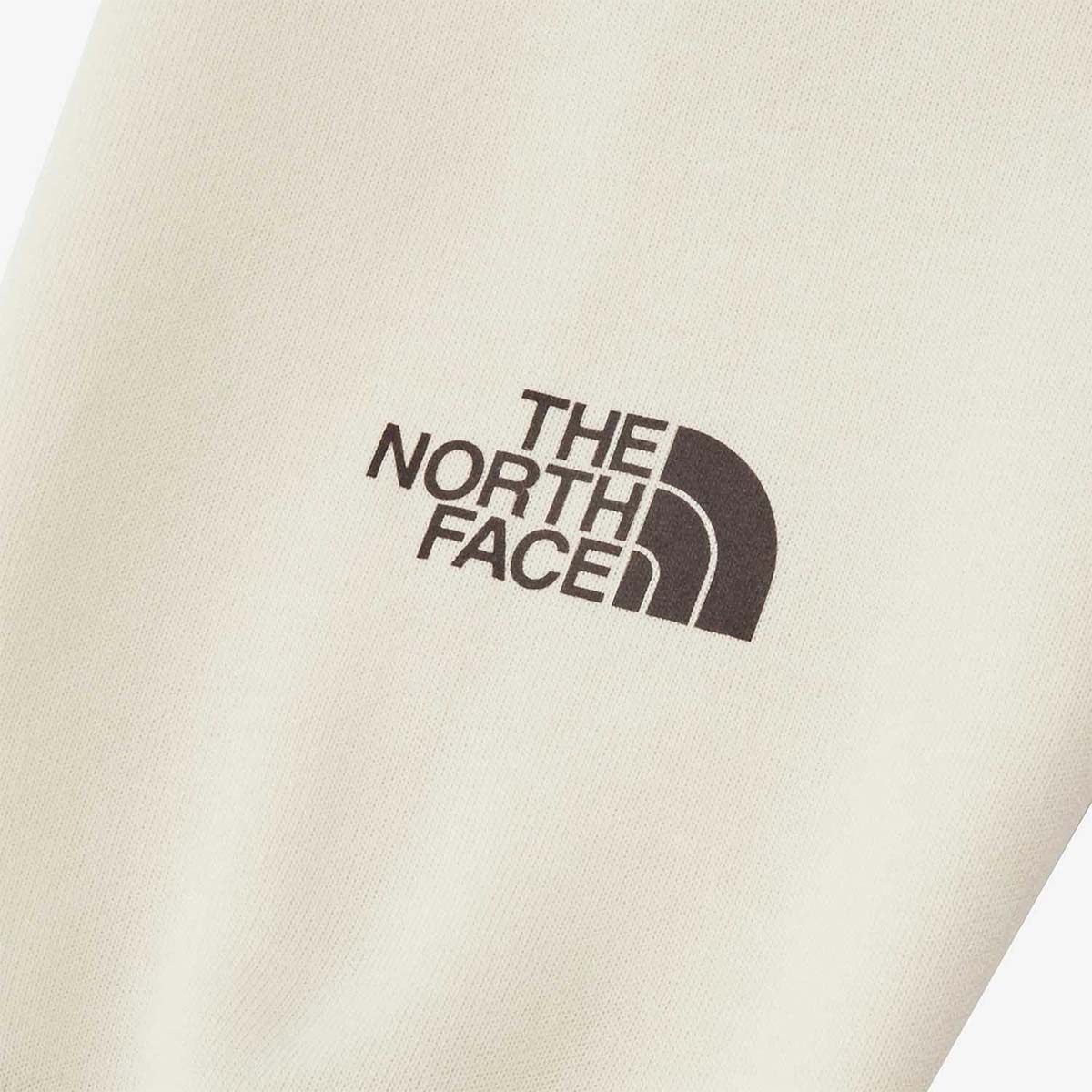 ザ・ノース・フェイスTHENORTHFACEスノボースノボスノーボードウェアスウェットパーカーレイバックフーディNT62610-VWメンズレディースユニセックス26-27