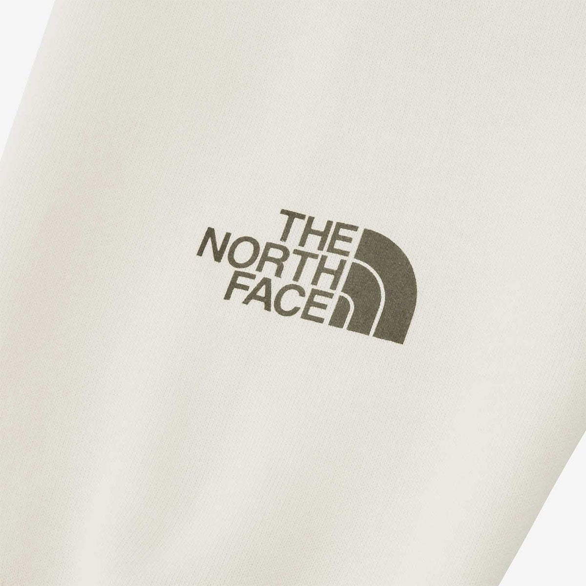 ザ・ノース・フェイスTHENORTHFACEスノボースノボスノーボードウェアスウェットトレーナーレイバッククルーNT62611-VWメンズレディースユニセックス26-27