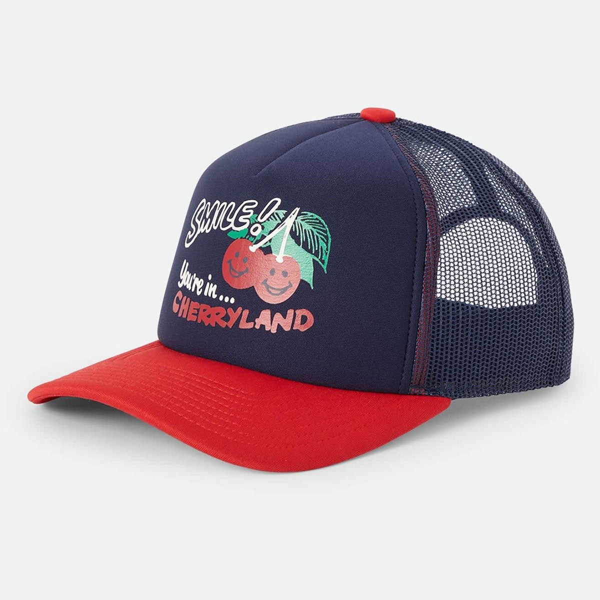 ブリクストンBRIXTONスケボースケートボード帽子キャップCHERRYLANDTRUCKERHAT1216726FA秋冬